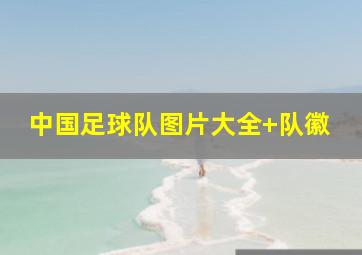 中国足球队图片大全 队徽